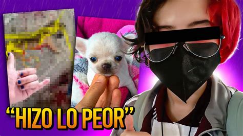 la niÑa tiktoker mexicana que acabo con la vida de su perro de la peor forma youtube