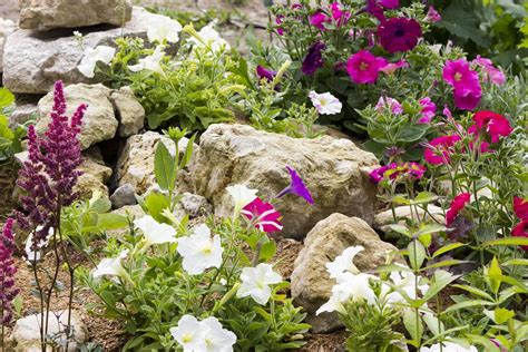 Rock Garden Design Ideas Guide Pro Tips Install It Direct