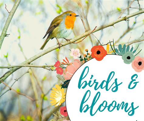 Birds And Blooms Ancient Oaks Foundation