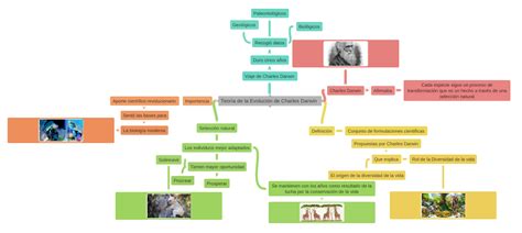 Teoría De La Evolución De Charles Darwin Coggle Diagram