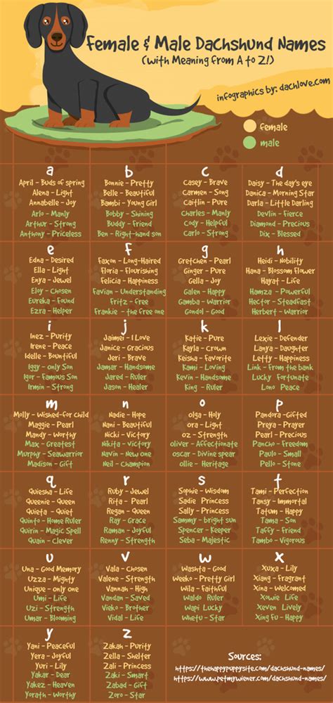 * is a wildcard that will match zero or more letters in the pronunciation. Mollie's Favorite Female and Male Dachshund Names with ...