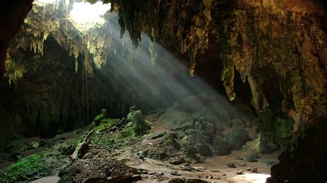 15 Of The Best Caves In Alabama For Some Exciting Adventure Flavorverse