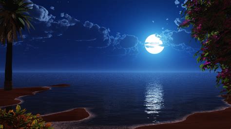 Download Wallpaper 3840x2400 Tropical Beach Coast Full Moon Night