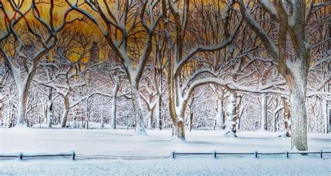 Bing Image Archive Sunrise In Central Park After A