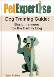During this time, a speak to your veterinarian about class options near you. Puppy Training Classes Near Me