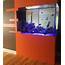 Custom Acrylic Fish Tanks & Glass Aquariums Midtown Manhattan NYC