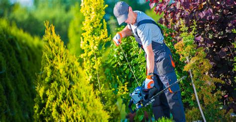 Do Landscaping Contractors Near Me Need A License Ajs Landscaping