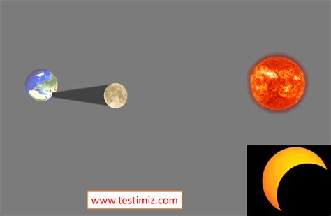 6 Sınıf Fen Bilimleri Güneş ve Ay Tutulmaları Konu Testi