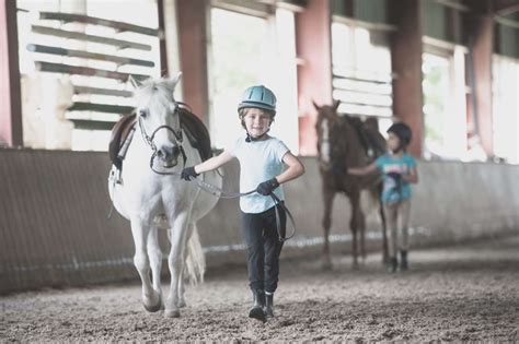 Riding School Lessons Training Horseback Riding Equestrian Training