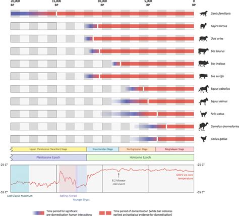 Timelines Of Domestication For 11 Animal Species With Relevant