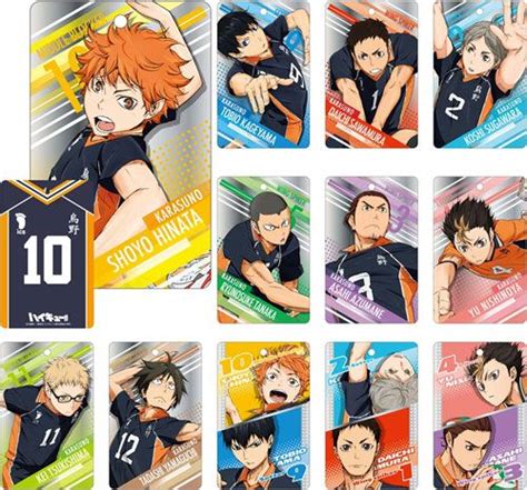 Karasuno (Haikyuu) | Haikyuu!! | Pinterest | Haikyuu ...