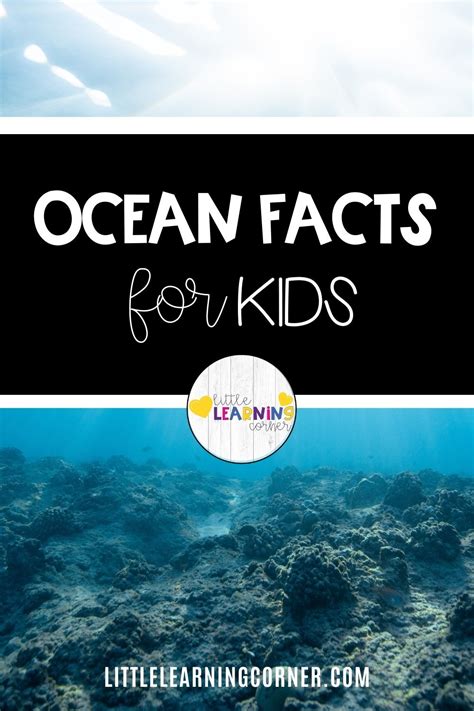 50 Fun Ocean Facts For Kids Little Learning Corner