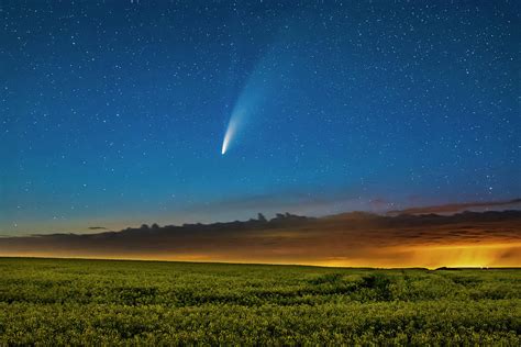 Comet Neowise Over A Ripening Canola Photograph By Alan Dyer Fine Art