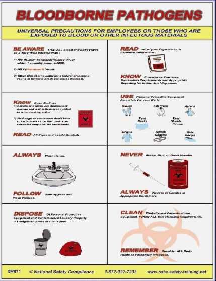 Workplace Safety Poster Visually Explains Universal Precautions For