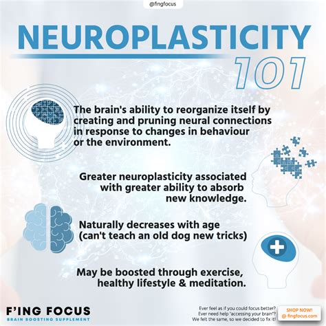 how does neuroplasticity work infographic artofit