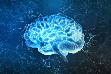What Is Neuroscience Really Blog Neurosciences Clinics