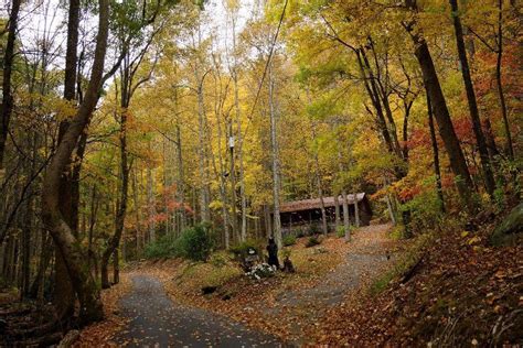 Fall Colors Pigeon Forge National Parks East Tennessee Smoky Mountains