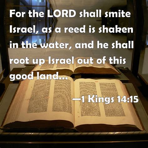 1 Kings 1415 For The Lord Shall Smite Israel As A Reed Is Shaken In