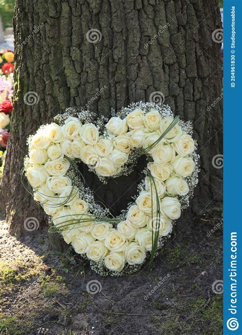 Heart Shaped Sympathy Flower Arrangement White Roses Stock Photo