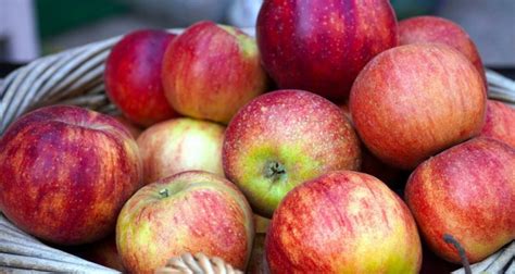 A questo punto trasferite la mostarda di mele in un vaso di vetro pulito e asciutto e conservate al fresco. Come conservare le mele | Dissapore