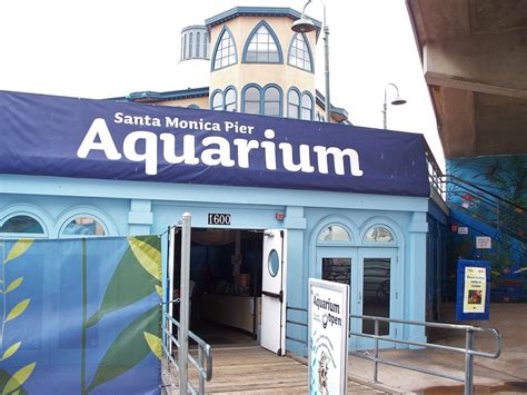 2009 05 03 2 Santa Monica Pier Aquarium Santa Monica La County Flickr