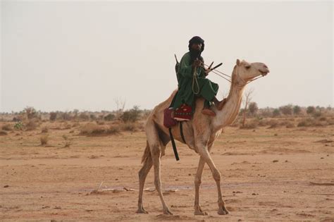 What 3 rivers had the world's largest supply of gold at the time? # SAHARAN ECHOES | Caravans of Gold, Fragments in Time
