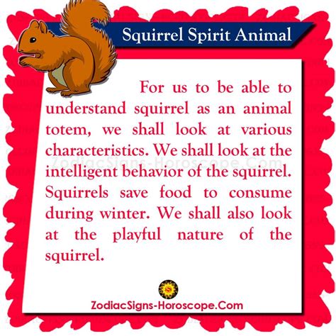 Squirrel Spirit Animal Meaning Messages Dreams And Symbolism Zsh