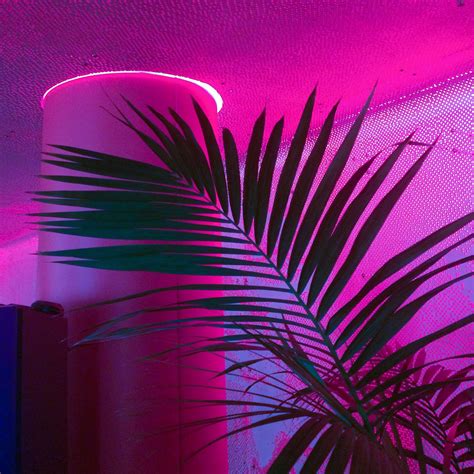 Pink Neon Lights With Plant Purple Aesthetic Neon Aesthetic Neon