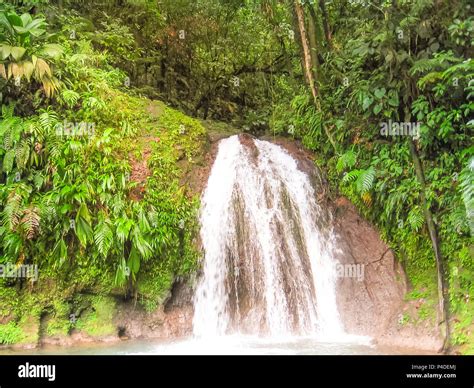 The Cascade Aux Ecrevisses In Parc National Guadeloupe Located On The