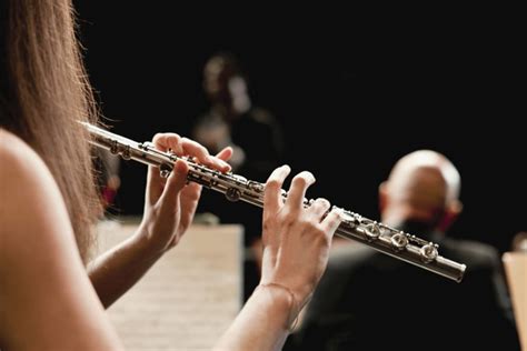 Flauta Transversal Escola De Música Online