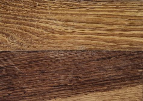 Old Oak Wood Texture Stock Photo Image Of Dried Hardwood 41955454