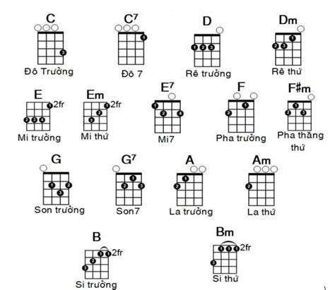 15 hợp âm ukulele cơ bản và cách bấm tự học ukulele dành cho người mới
