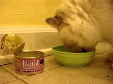 Tiki pets cat food reviews: Tiki Cat Food Review Chicken with Egg in Chicken Consomme ...