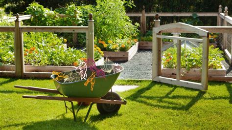 16 Backyard Vegetable Garden Ideas For Beginners Architectural Digest