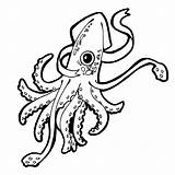 Squid Coloring Colossal Giant Getcoloringpages sketch template