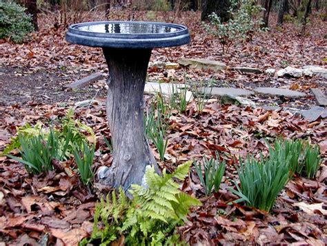 61 Best Images About Tree Stump Uses On Pinterest
