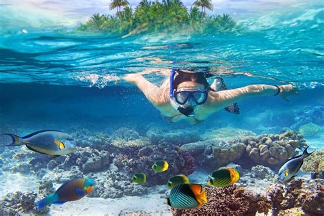 Snorkeling In Maldives Where And When To Go Aqua Zealots