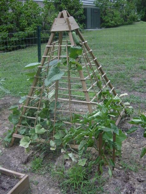 14 Cucumber Trellis Shapes And Materials That Do The Job