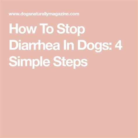 How To Stop Dog Diarrhea 4 Natural Ways To Soothe Your Dogs Stomach