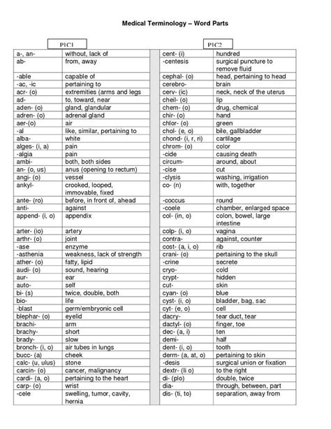 Medical Terminology Word Parts Medical Terminology Medical