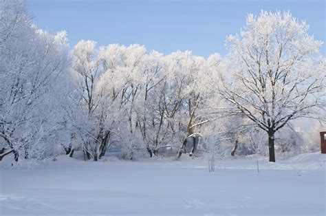 Tumblr Nature Landscape Fresh High Resolution Snow