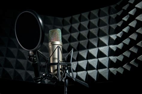 15 Best Microphones For Vocals Live And Studio Vocal Mics Vocalist