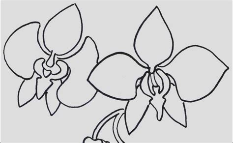 Video kali ini tentang 9 manfaat bunga teratai untuk kesehatan dan obat herbal. Mewarnai Kolam Bunga Teratai / 10 Cara Menanam Teratai Di Kolam Koi Dengan Mudah Ilmubudidaya ...