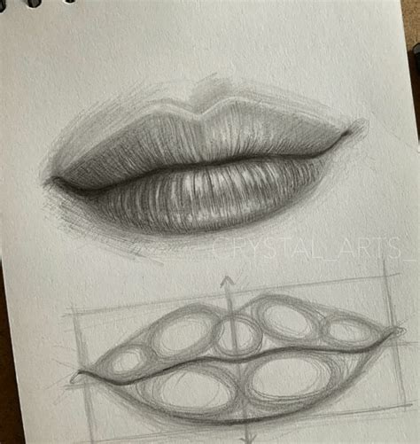 How To Draw Mouths Like A Pro Step By Step Art Drawings Sketches