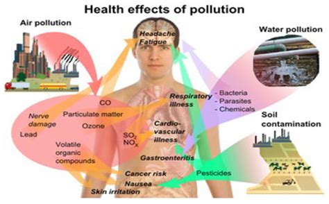Who Is Affected Pollution Solution