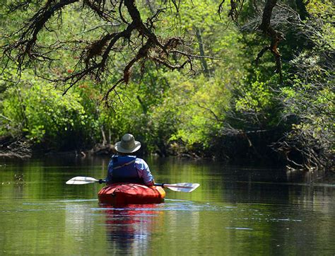 Canoeing And Kayaking Protecting The New Jersey Pinelands And Pine