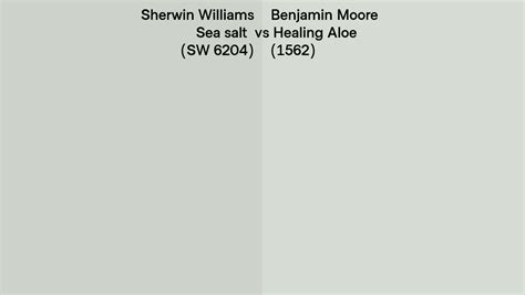 Sherwin Williams Sea Salt Sw 6204 Vs Benjamin Moore Healing Aloe