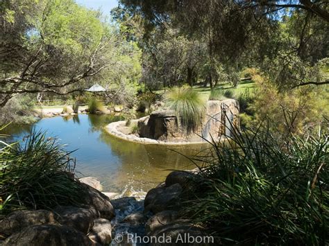 Photos Of Kings Park And Botanic Gardens In Perth Australia