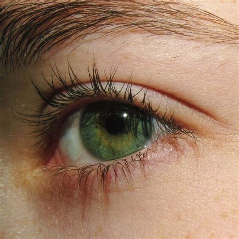 Pin By Justine On Lauren Pavey Aesthetic Eyes Green Eyes Eye
