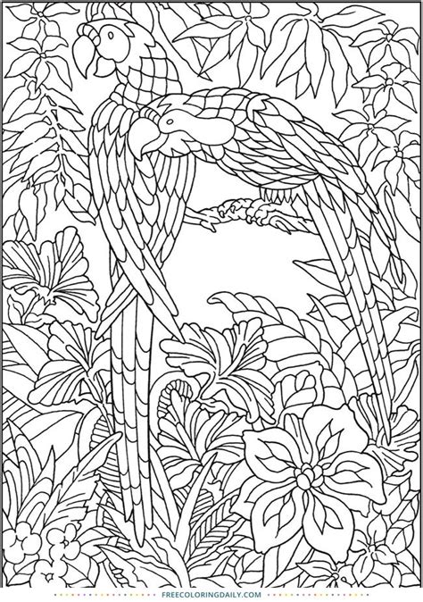 Free Jungle Coloring Page Jungle Coloring Pages Bird Coloring Pages